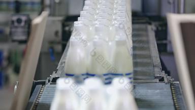 牛奶包装行包装牛奶瓶输送机行牛奶包